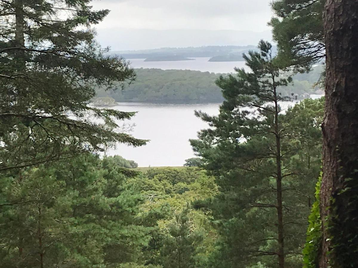 Tall Trees Seaside & Nature Retreat B&B Delgany Exterior foto